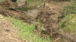 Reclamation Consortium, construction sites open throughout the Valdichiana territory