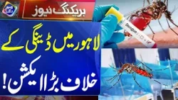 Lahore Mein Dengue Ke Khilaf Bara Action | 19 October 2026 | Lahore Rang