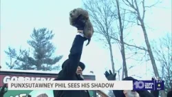Punxsutawney Phil sees his shadow