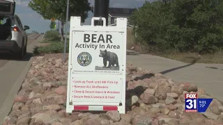 CPW reminds residents to be aware as bear reports could reach record high