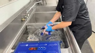 Tampa restaurant 'Whiskey Joe's' finds new way to conserve water during drought