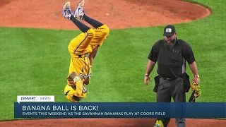 'Sea of Yellow' to take over downtown Denver as Savannah Bananas return to the Mile High City