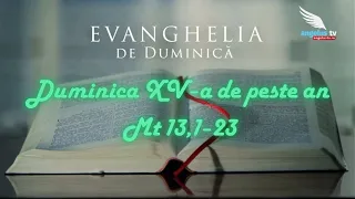SUNDAY GOSPEL - 15th Sunday in Ordinary Time