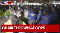 WATCH: NYU protester throws chair at police, 133 arrested | LiveNOW from FOX