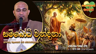 Ven Balangoda Radha Thero | 2026-06-29 | 7:30PM (පොසොන් පෝය දහම් දෙසුම)