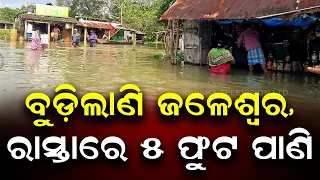 Flood Fury in Jaleswar: Houses Submerged, 5 Feet Water on Roads