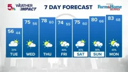 Прогноз погоды в Сент-Луисе: сохранится прохладная погода, затем к середине недели вернется темпе...
