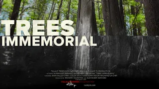 Trees Immemorial (trailer)