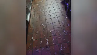 Raccoon break-in leaves Fairfield Bay restaurant facing thousands in damage