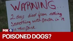 Dogs possibly poisoned | FOX6 News Milwaukee