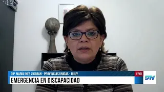 "The Disability Emergency situation has not been overcome", María Inés Zigarán on DTV