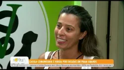 Cadela comunitária é ferida por facadas em Praia Grande - 30/1/26