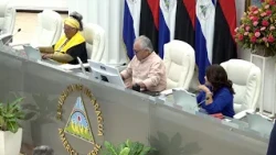 Proposed law to create presidential designees