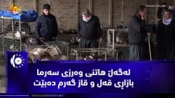 Сулеймани... С наступлением зимы рынок оживился. Сулеймани... С наступлением зимы рынок оживился.