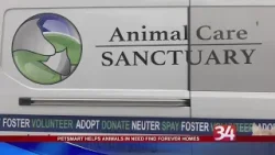 PetSmart helps animals in need find forever homes