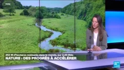 Restauration de la nature : l'ONU appelle le monde à accélérer les efforts • FRANCE 24