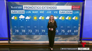 Weather forecast for September 11