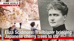 Eliza Scidmore: Trailblazer bringing Japanese cherry trees to USーNHK WORLD-JAPAN NEWS