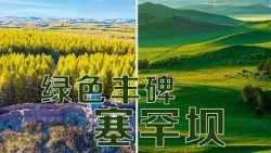 从风沙肆虐的高寒荒漠到一望无际的广袤林海，塞罕坝是怎样变成世界上面积最大的人工林场的？| LIVE NOW