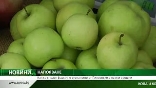 НАПОЯВАНЕ: Как се справя фамилно стопанство от Плевенско с лозя и овошки
