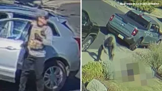 DHS labels Bay Area man charged in fatal stabbing of 68-year-old as 'criminal illegal alien'