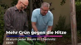 Chemnitz Plants the Future: Urban Trees as Natural Heat Protection | Sachsen Fernsehen