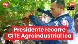 Presidente José Jerí realiza recorrido en el CITE Agroindustrial Ica