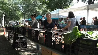 Portland Farmers' Market vendors apprehend suspect after attempted theft