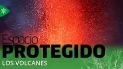 Protected Space | Volcanoes, chemical threats, and the best pesticides