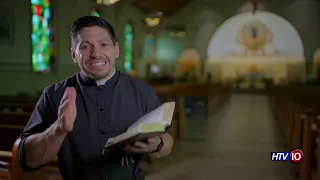 Gospel Reflections for 8/9/2026 - 19th Sunday of Ordinary Time