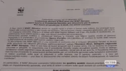 Ambiente - WWF, lettera aperta a Marsilio Ambiente - WWF, lettera aperta a Marsilio