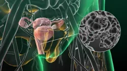 Resistenza agli antibiotici: Bassetti: "Una cistite su tre a Genova è difficile da curare"