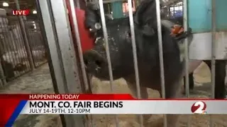 Montgomery County Fair begins: Interview with Tim Colston (Part 2)