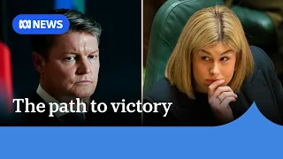 Pollster says Labor could lose over 20 seats in Victorian election | ABC NEWS