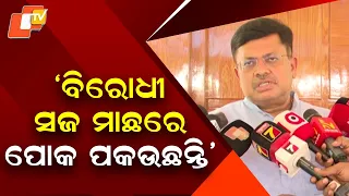 Pritiraj Harichandan Defends UPI Rules, Says Opposition Claims Are Misleading