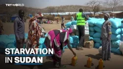 UN: Less than 5% of population can afford single meal per day in Sudan