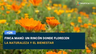 Finca Manú: un rincón donde florecenla naturaleza y el bienestar