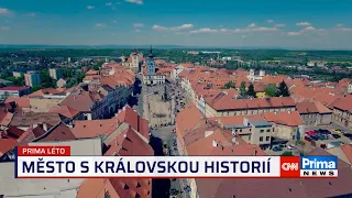 Prima ROK: Město s královskou historií (Žatec)