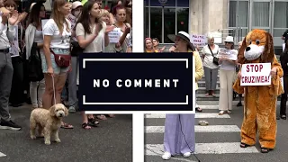 NO COMMENT ANIMAL PROTECTION PROTEST
