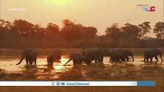 Republic of Botswana: The Sparkle of Diamonds and the Splendor of Nature
