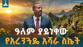 ኢትዮጵያ በአረንጓዴ አሻራ የተራቆቱ መሬቶቿ እንዲያገግሙ እና የደን ሽፋኗ እንዲያንሰራራ አደረገች - ለአፍሪካ ሀገራት ተምሳሌት የሆነው ስራ