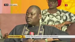 Serigne Gora Seye Phytothérapeute : « C’est la nature qui nous nourrit et nous soigne » Serigne Gora Seye Phytothérapeute : « C’est la nature qui nous nourrit et nous soigne »