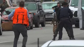 Mountain lion captured in San Francisco neighborhood