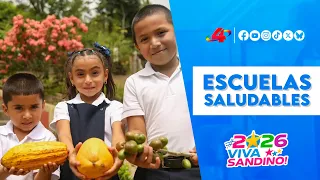 👩‍🏫 Nicaraguan teachers undergo training on healthy eating and school gardens