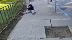 San Francisco's empty tree wells can be hazardous. Here's how supervisor is trying to fix it