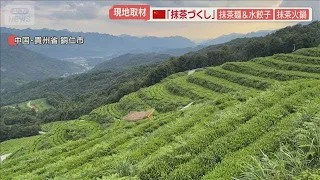 中国産も“宇治抹茶”名乗り販売　貴州省の「抹茶の町」取材、火鍋にテーマパークまで【羽鳥慎一モーニングショー】(2026年9月18日)