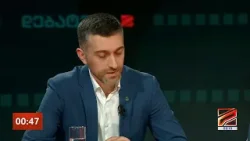 დებატები - ეროვნული ინტერესები და ევროპული კურსი | ჰერმან საბო