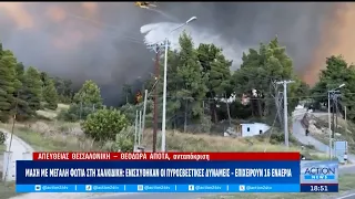 Επεκτείνεται επικίνδυνα η πυρκαγιά στη Χαλκιδική – Εκκενώνονται περιοχές |