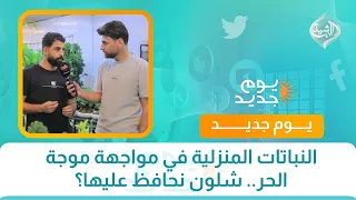 النباتات المنزلية في مواجهة موجة الحر.. شلون نحافظ عليها؟ | جولة مع علي العامري