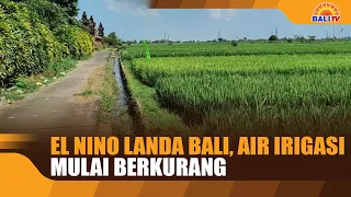 EL NINO HITS BALI, IRRIGATION WATER LEVELS START TO DROP